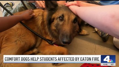 Comfort dogs help Altadena students affected by Eaton Fire