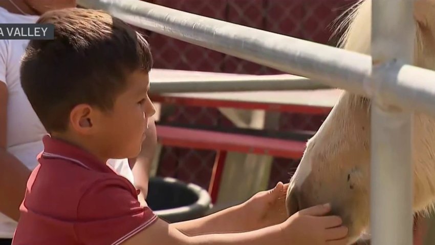 A 6-year-old boy in Jurupa Valley has been reunited with his beloved pony.