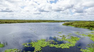 St Johns River