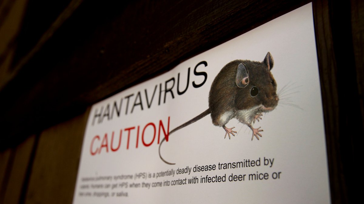 What is hantavirus, and how do you get rare infectious disease? – NBC ...