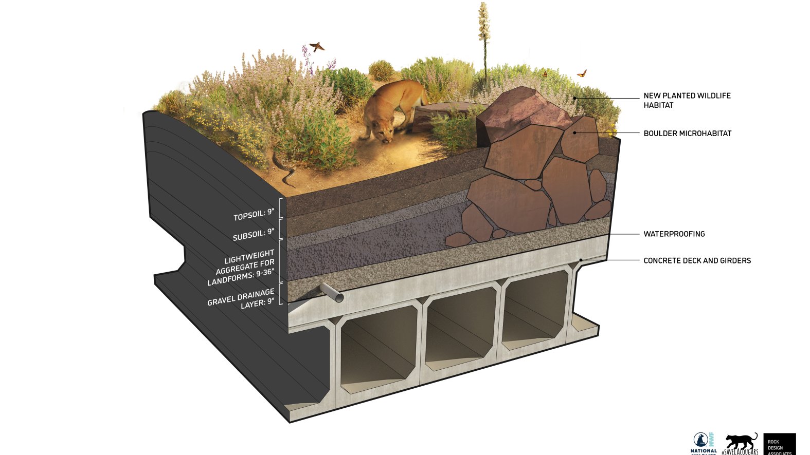 The Protocol Behind the Pause