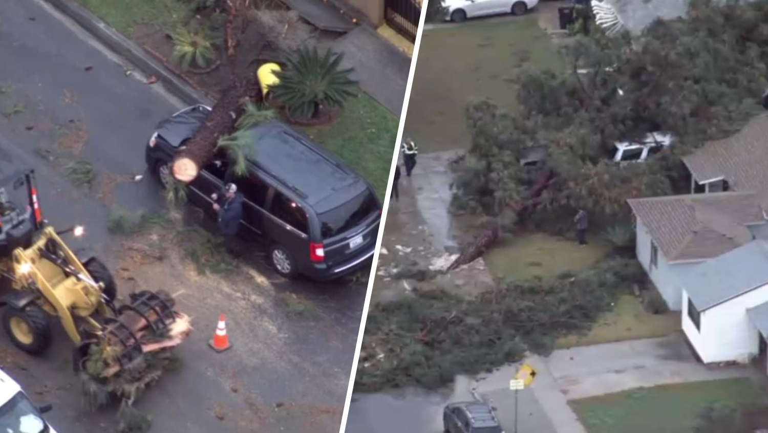 Images: Tornado knocks down trees in Pico Rivera neighborhood