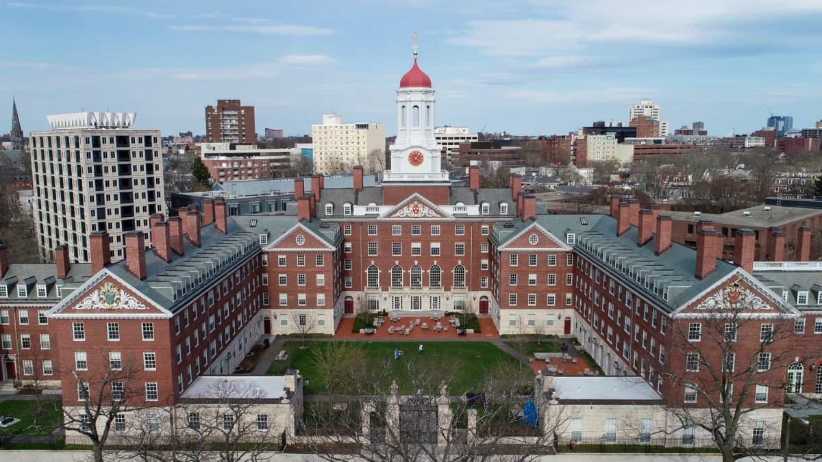 Harvard doktora kontenjan kesintisi