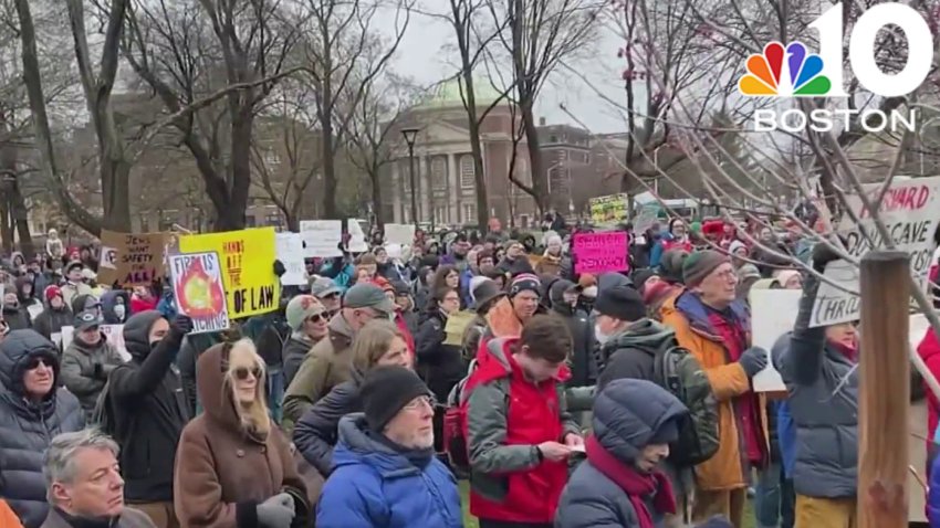 ‘Stand Up, Harvard!' rally held in Cambridge