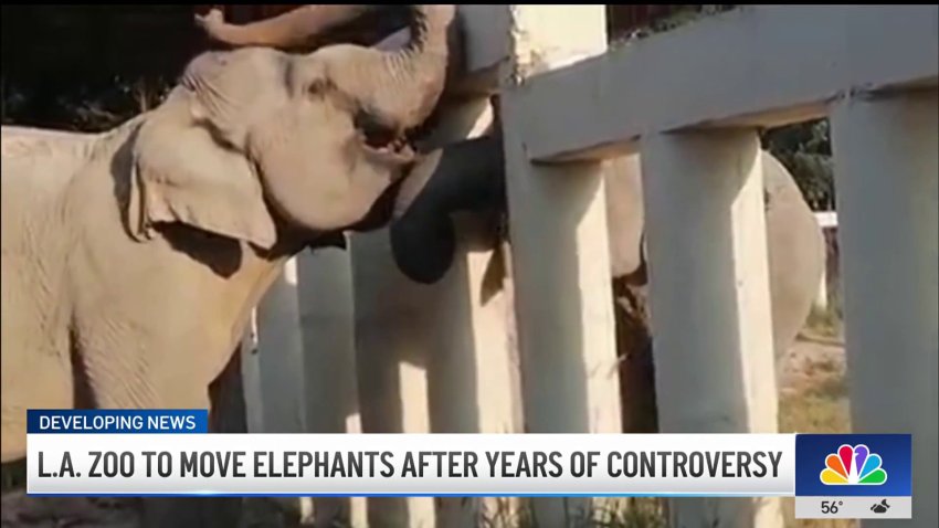 LA Zoo's remaining elephants slated for Tulsa zoo