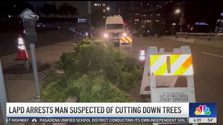 LAPD arrests man suspected of cutting down trees