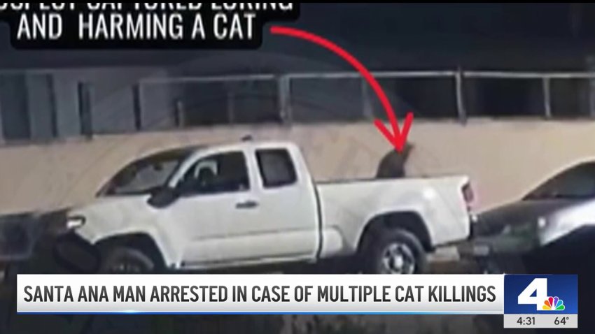 Santa Ana's suspected serial cat killer is arrested