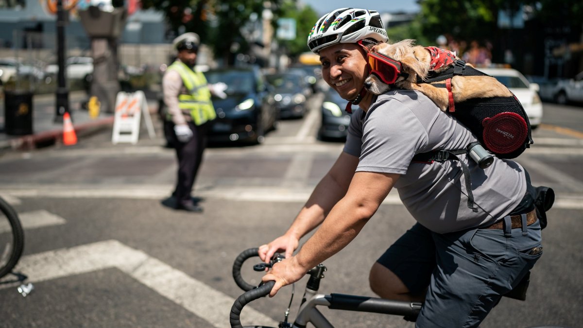Free: Bike from Koreatown to Hollywood on closed-to-cars streets