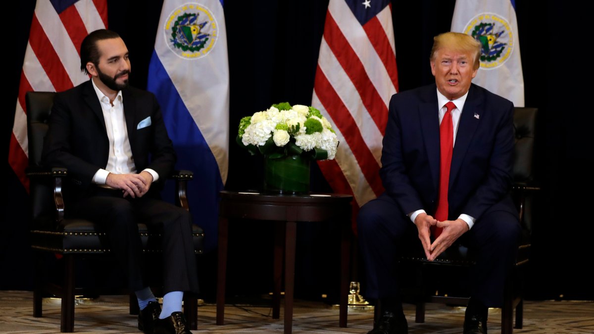 Trump to meet with Bukele at the White House – NBC Los Angeles