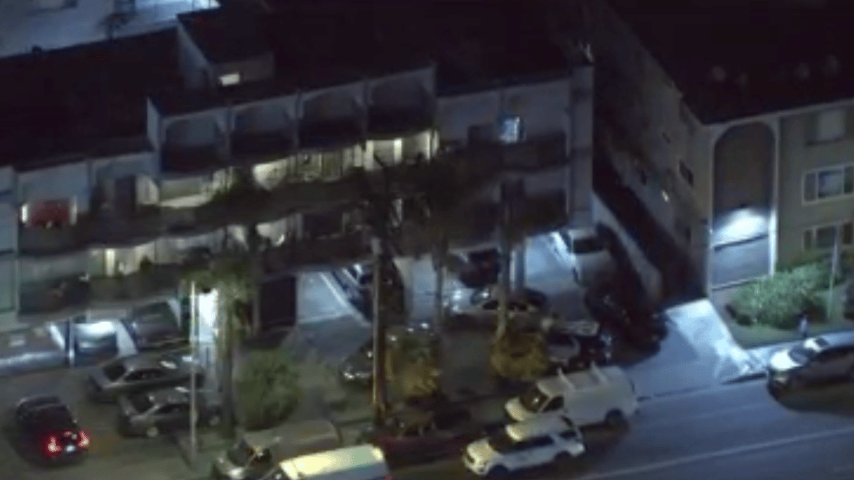 Mother in custody after 7-year-old found dead in Van Nuys apartment ...