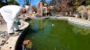 Vector Control conduct mosquito spraying at abandoned pools in Altadena