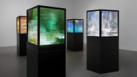 Artist Maja Petric’s “Specimens of Time: Spectrum” comprises luminous “sculptures” that show natural environments. Petric said she felt an “urgency” to preserve the memory of such landscapes.