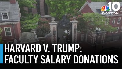 Harvard faculty pledges to donate 10% of salary amid Trump funding fight