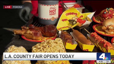 LA County Fair welcomes visitors with fried food and fun