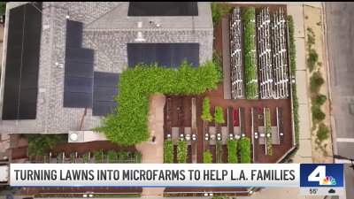 Turning lawns into ‘micro farms' to fight food insecurity in South LA