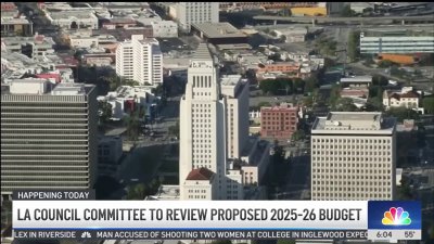 LA council committee to review proposed 2025-26 budget