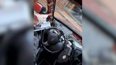 Bear wrecks car after getting trapped inside