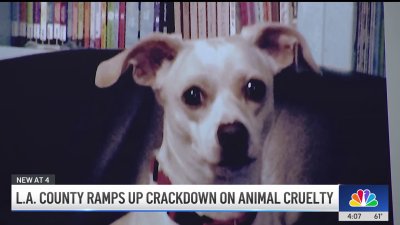 LA County warns tougher punishment for animal cruelty