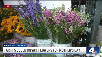 Tariffs could impact flowers for Mother's Day