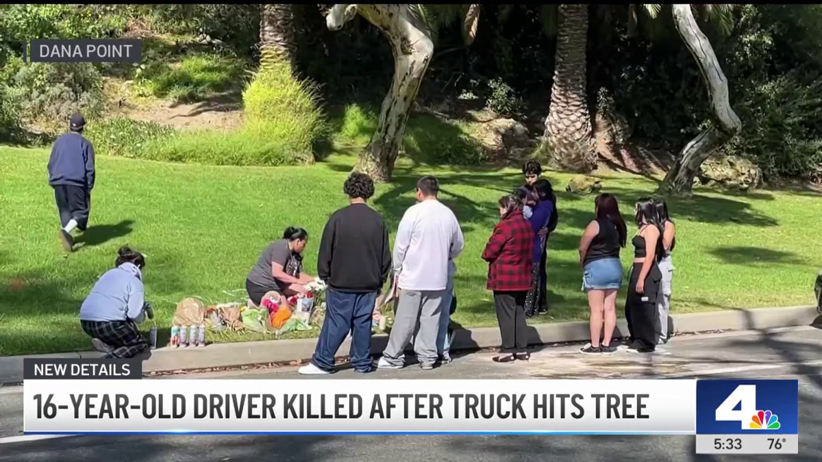 Community mourns teen driver killed after crashing into tree in Dana ...