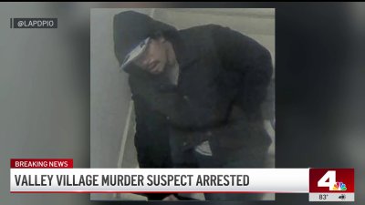 Man arrested for Valley Village apartment killing