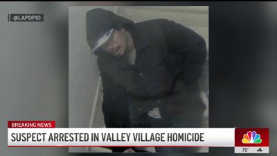 Suspect arrested in connection to Valley Village homicide