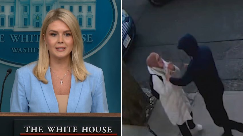 White House Press Secretary Karoline Leavitt pushed back on a federal judge’s ruling that freed a Tufts student from ICE detention