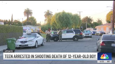 Teen arrested in shooting death of 12-year-old at Compton park