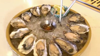 Shell Yeah: This SF Spot Is Serving the Freshest Oysters in Town!