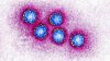 Hepatitis A infections triple in Los Angeles County