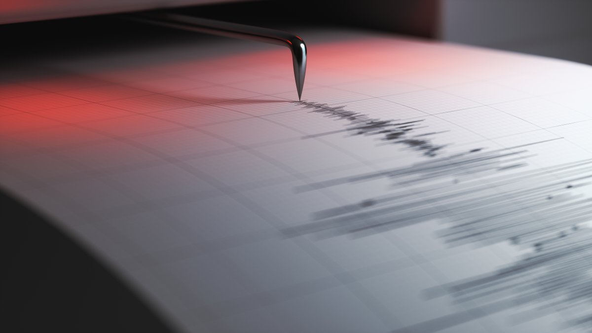 7.3 Quake Prompts, Then Cancels, Alaska Tsunami Alert