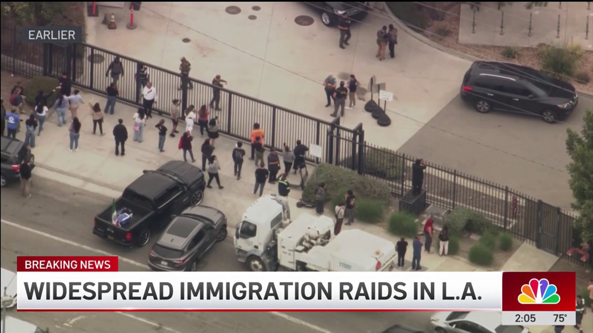 ICE Raids in LA Lead to Protests, Tensions