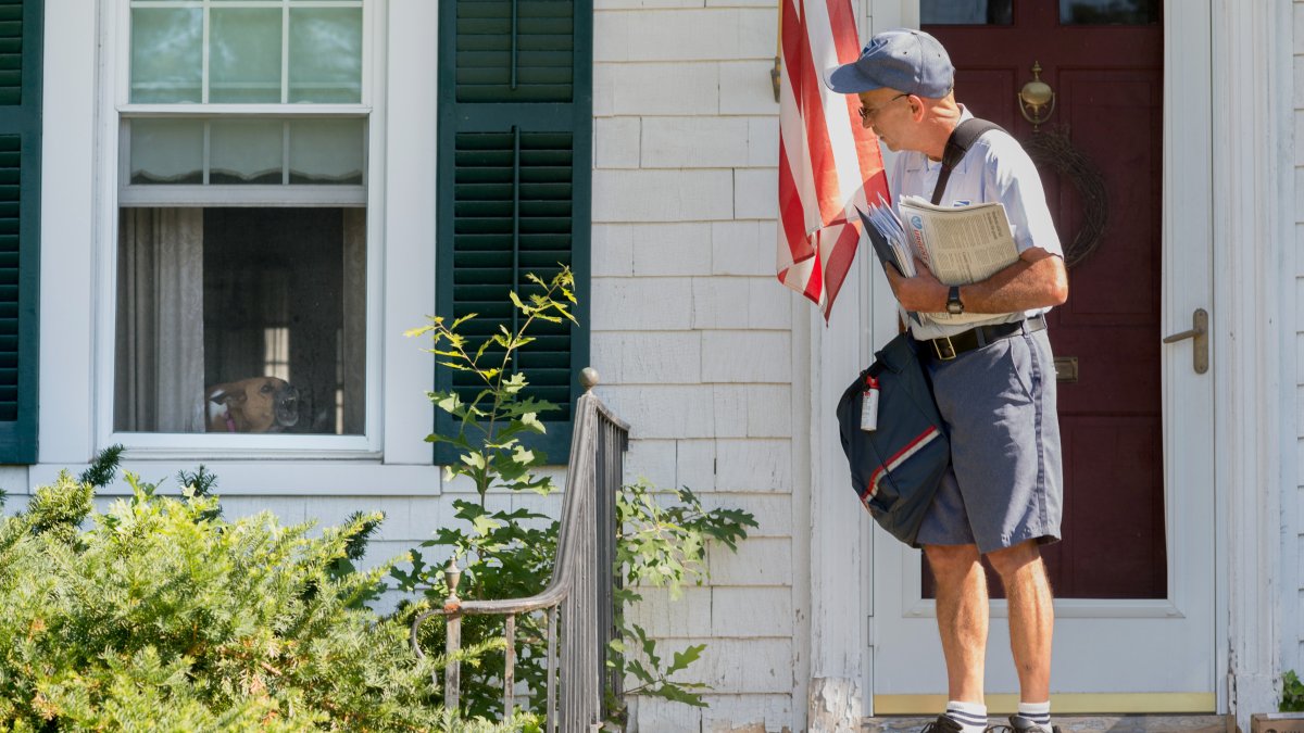 Dogs bite more mail carriers in LA than other cities – NBC Los Angeles