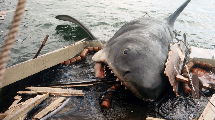 "Jaws"