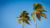 Extra resources deployed to LA County for critical fire weather