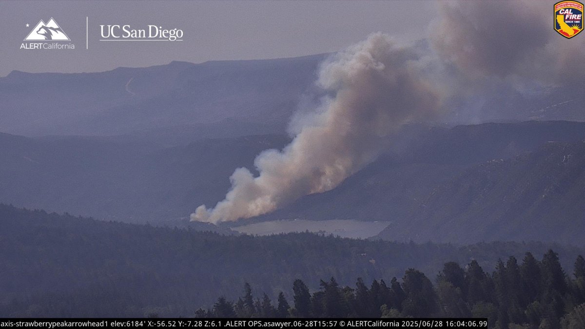 Vegetation fire burns near Silverwood Lake in San Bernardino County – NBC Los Angeles