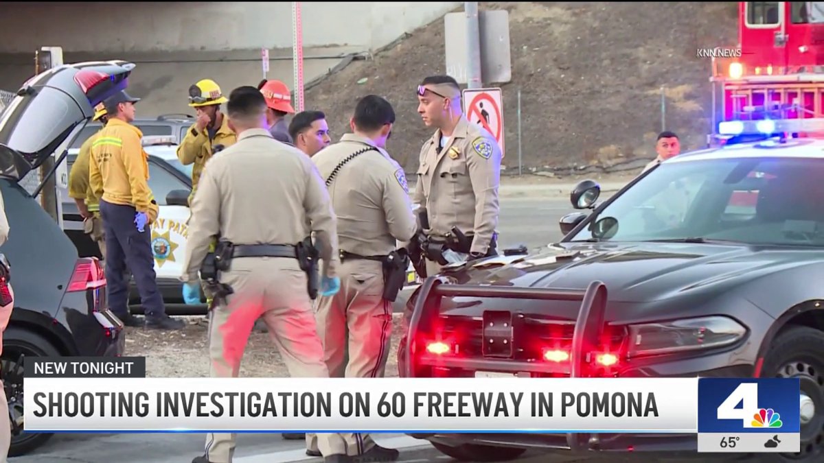 Multiple Shootings Investigated Across United States