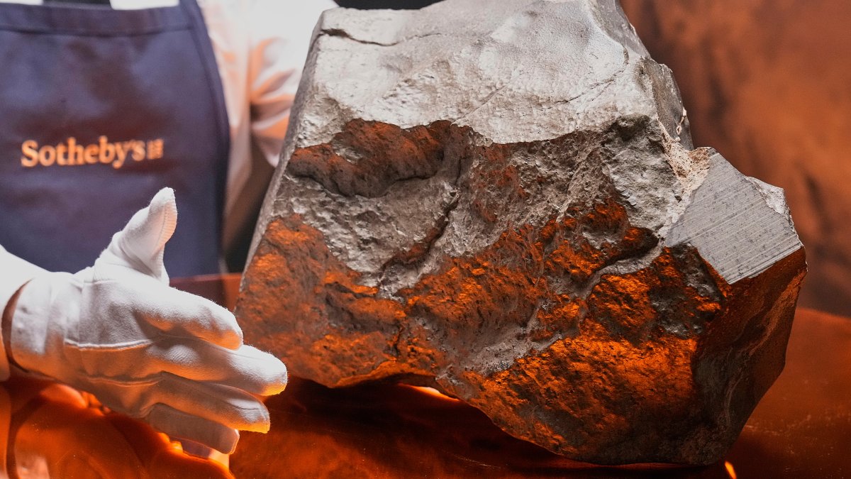 The biggest piece of Mars on Earth is going up for auction in New York