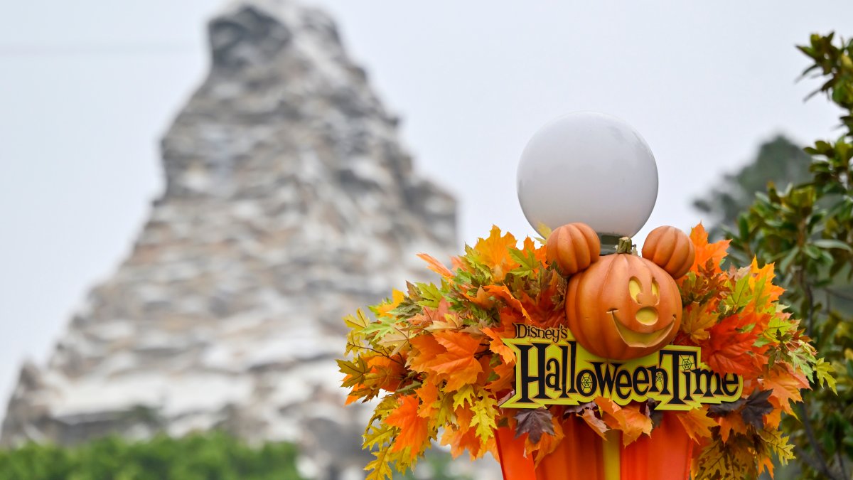 Disneyland Halloween Treats