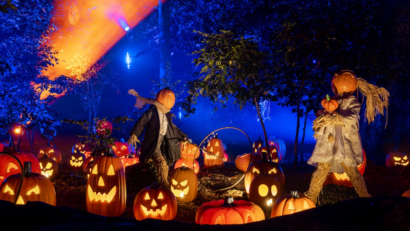 Autumn lovers: Descanso Gardens just shared ticket details for