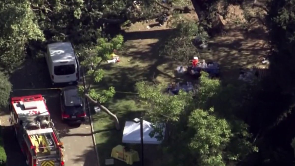 At least five injured after tree branch falls in Calabasas – NBC Los Angeles