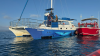 Coast Guard rescues 11 people from flooded catamaran off Dana Point