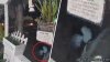 Aliens in Compton? Woman's Ring camera captures strange creature outside home