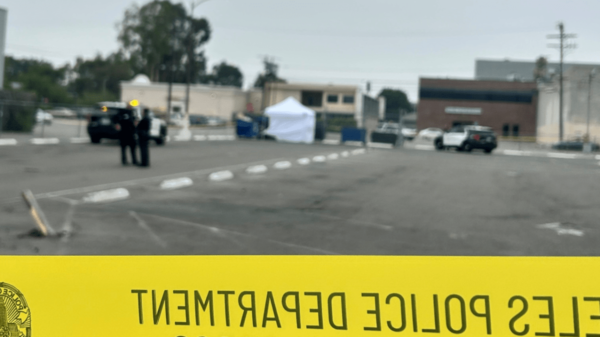 Boy Found Dead Near Dumpsters in Panorama City Lot