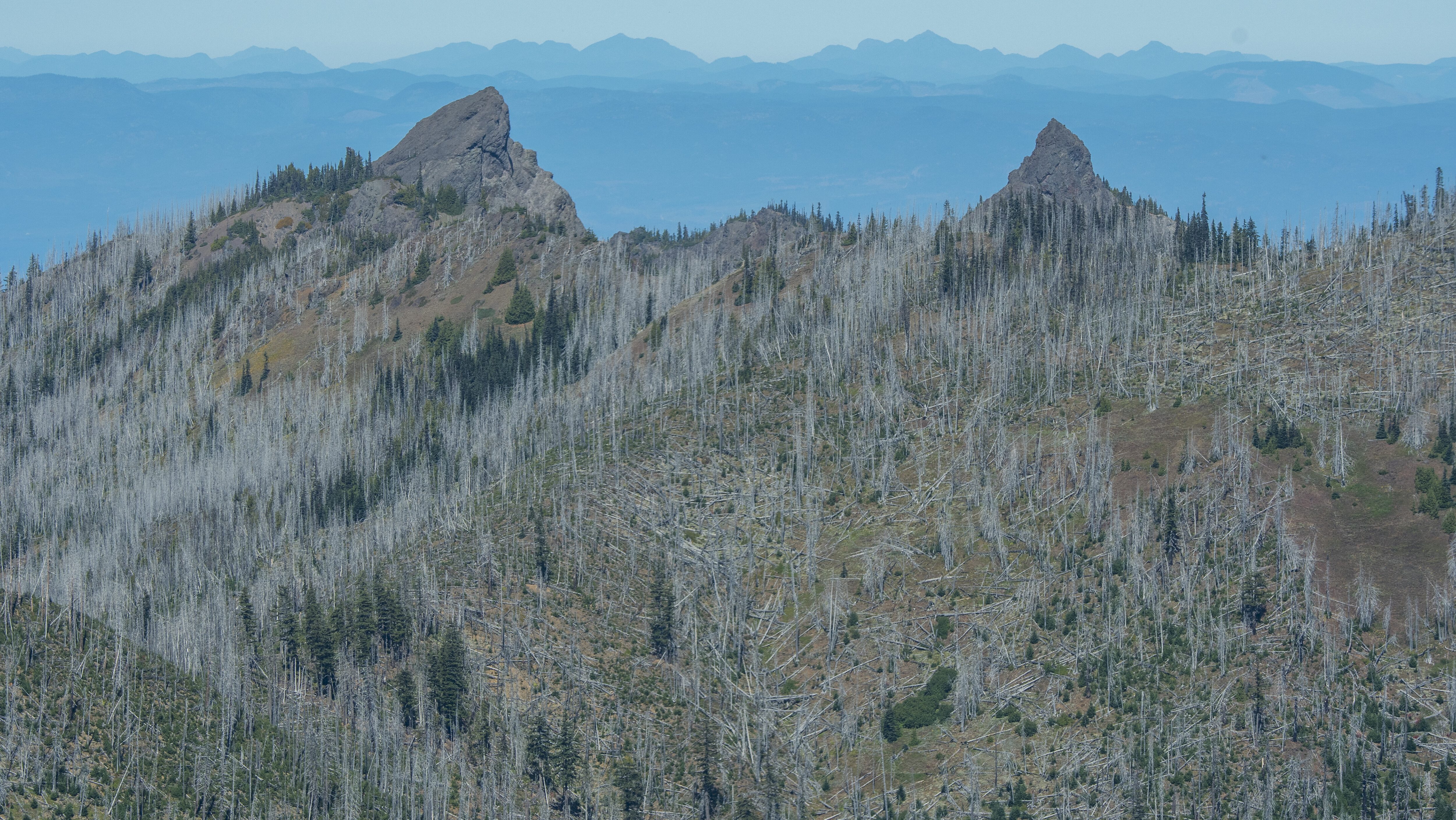 Wildfires Spread Across Oregon, California, Washington Amidst Firefighter Arrests