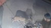 Camper has close encounter with mountain lion in Malibu