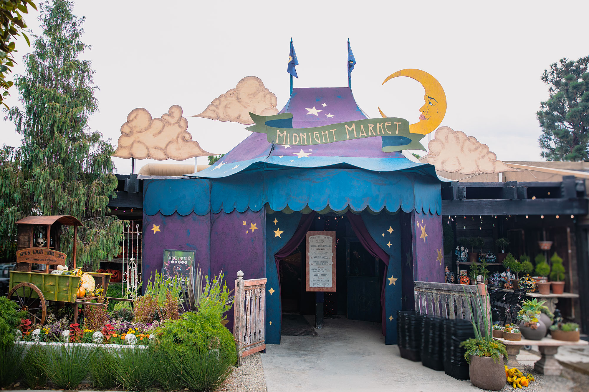 Roam a 'Midnight Market' at a free-to-see Halloween Boutique in