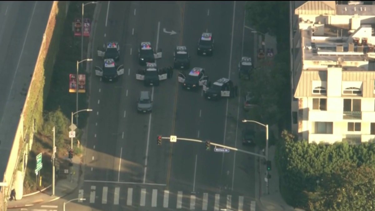 LAPD Ends Standoff With Nude Woman After Westwood Pursuit, Traffic Shutdown