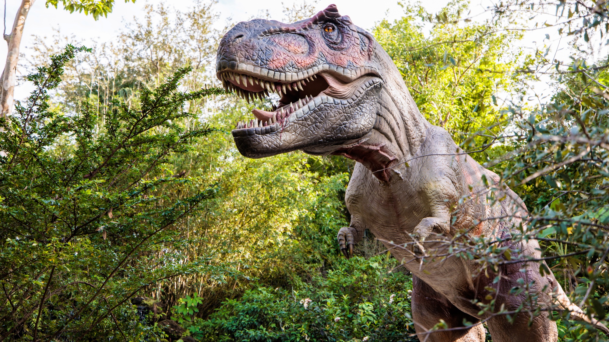 Trex-2-1.jpg?quality=85&strip=