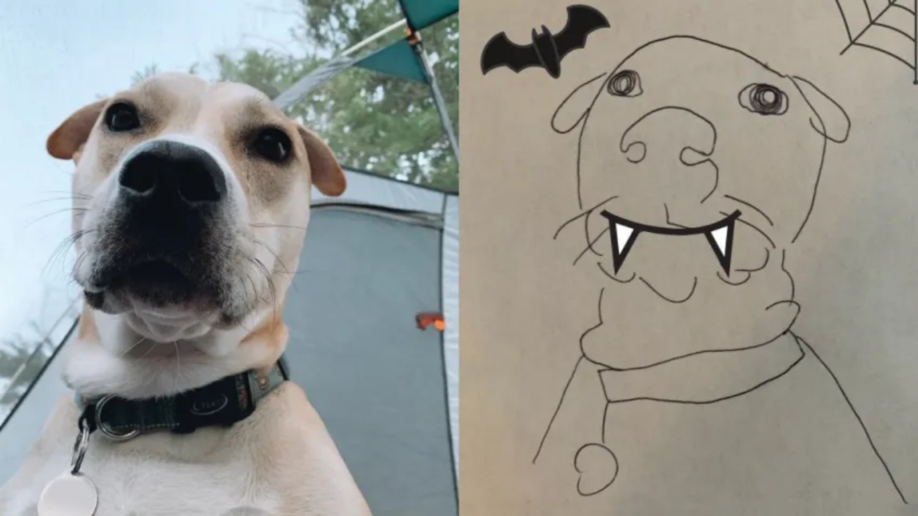 thumbnail image 2 of Custom Hand-Drawn Portrait Drawing – Pets, People, Erotica – Realism Style 2 of 5